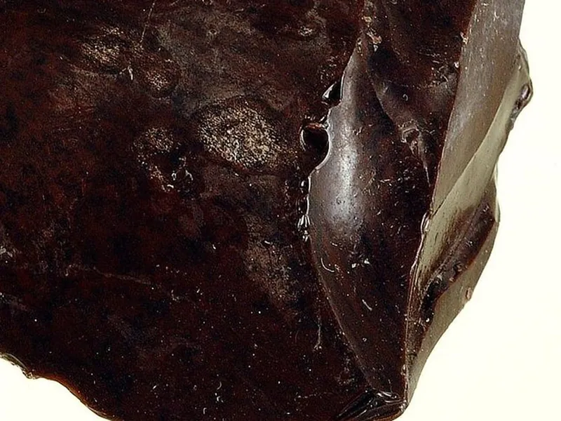 Raw obsidian showing its glassy conchoidal surface